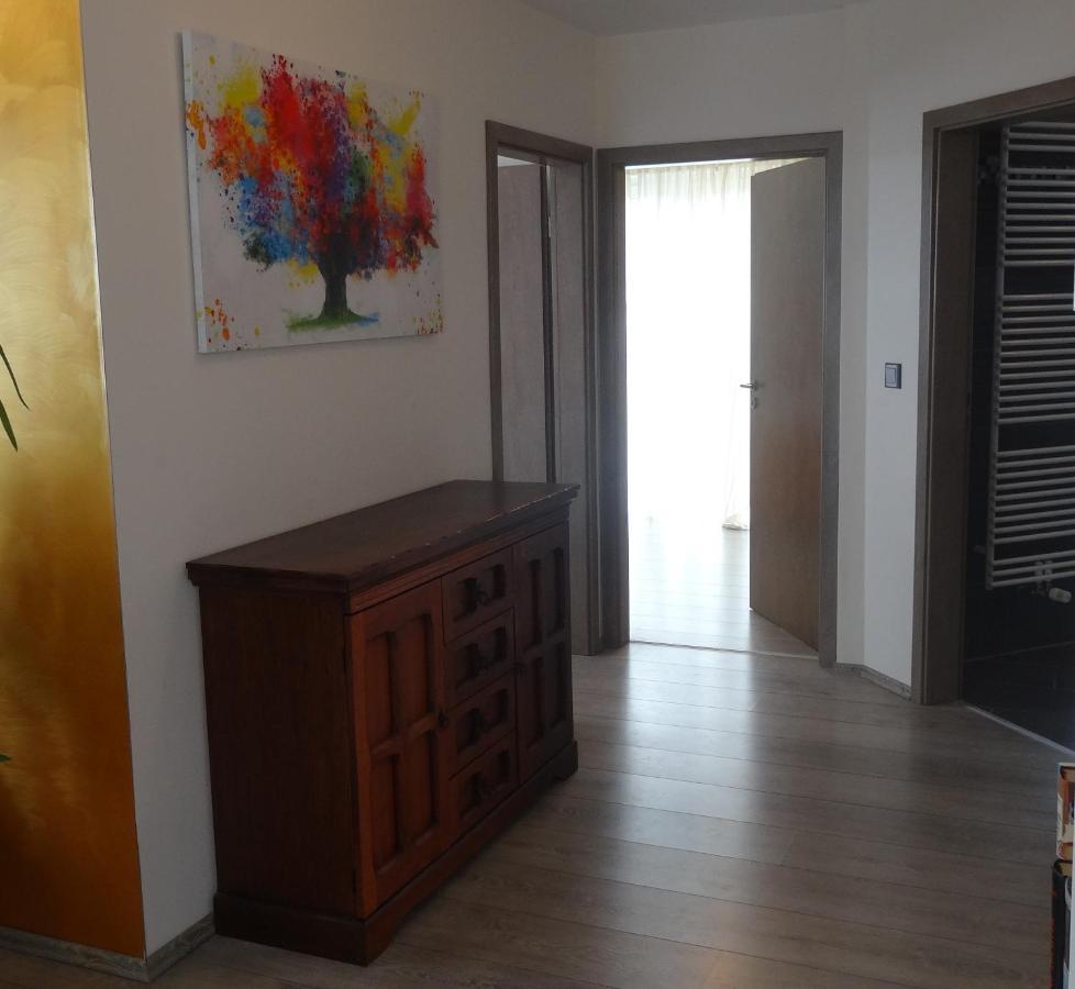 דונאו-אשינגן Ferienwohnung Schwarzwald-Baar Blick מראה חיצוני תמונה